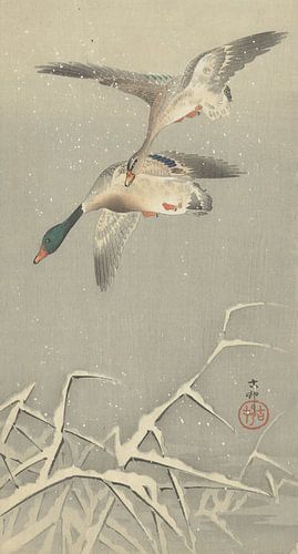 Deux colverts en vol de Ohara Koson