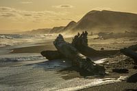 Sunset over the beach with trees washed ashore in New Zealand