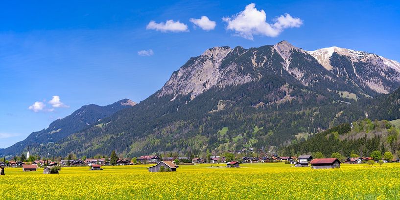Loretto-weiden, met Oberstdorf en de Allgäuer Alpen erachter in de lente van Walter G. Allgöwer