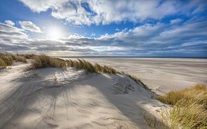 Duingebied van Texel. van Justin Sinner Pictures ( Fotograaf op Texel)