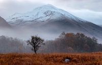 Een mistige herfst ochtend aan de voet van de Ben Navis in Schotland van Guido Boogert thumbnail