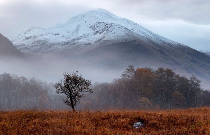 Een mistige herfst ochtend aan de voet van de Ben Navis in Schotland van Guido Boogert
