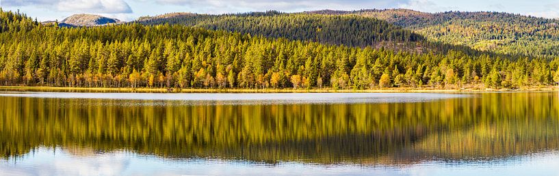 Reflecties van Johan Zwarthoed