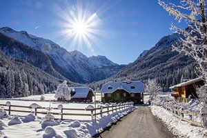 Sonnenschein am Jägersee