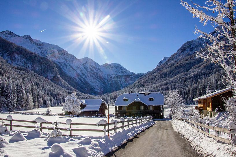 Sonnenschein am Jägersee von Christa Kramer