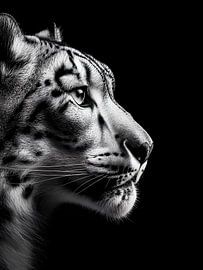 Leopard im Profil – Kraftvolles Schwarzweiß Raubkatzenporträt von drdigitaldesign