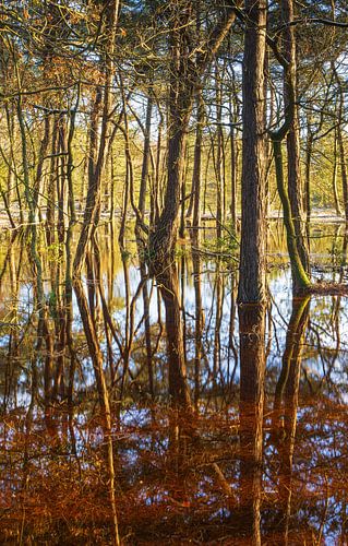 Terhorsterzand (Netherlands)