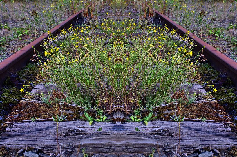 lit de voie par Edgar Schermaul