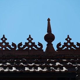 Het dak van San Miguel Markt in Madrid van Anouk IJpelaar