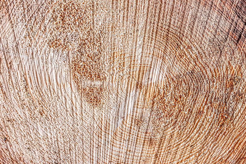 gezaagd hout van Thomas Heitz