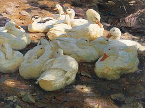 Liegende Enten - Licht und Schatten, ALEXANDER KOESTER, Ca. 1915-1932