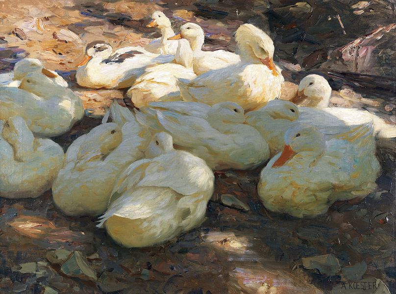 Reclining ducks - light and shade, ALEXANDER KOESTER, ca. 1915-1932 by Atelier Liesjes