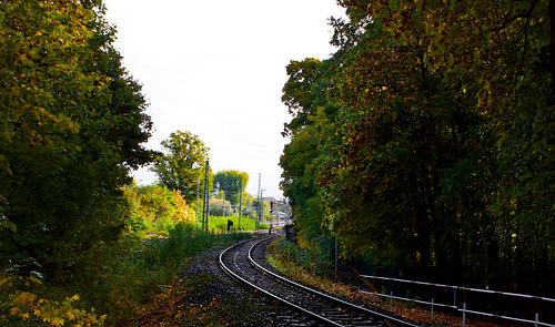 A train path