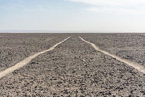 Lignes de Nazca