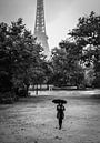 Parijs in de regen van Emil Golshani thumbnail
