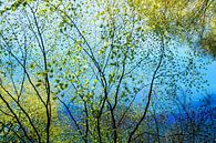 blaue Landschaft im Frühling von Hanneke Luit Miniaturansicht
