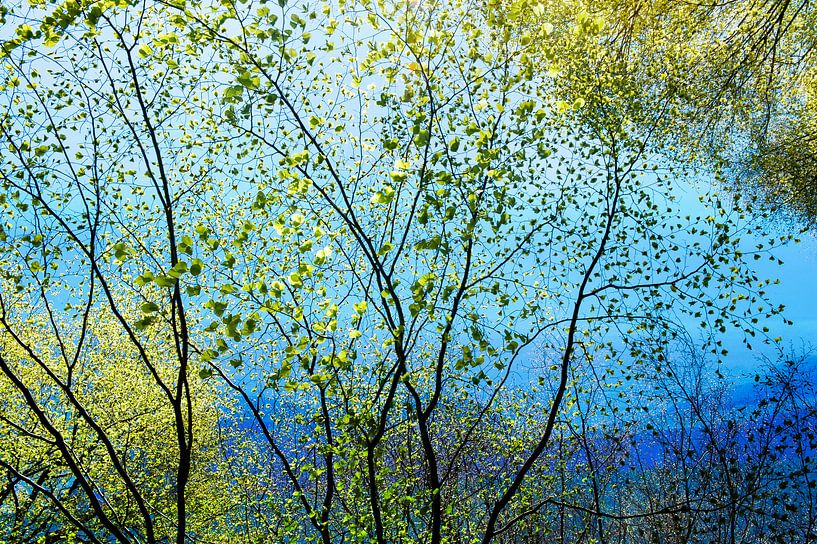 blaue Landschaft im Frühling von Hanneke Luit