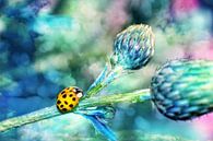 Lieveheersbeestje in blauw van Claudia Evans thumbnail
