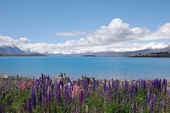 Nieuw Zeeland, New Zealand