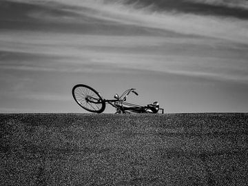 Fiets sur José Verstegen