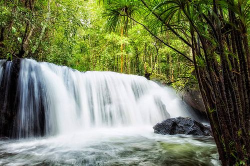 Chute d'eau tropicale