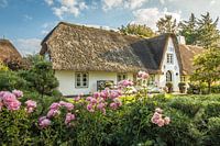 Historische rietgedekte boerderij in Keitum, Sylt