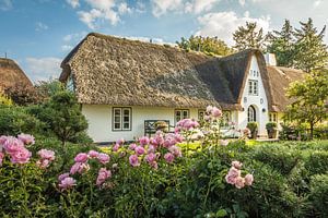 Historischer reetgedeckter Hof in Keitum, Sylt