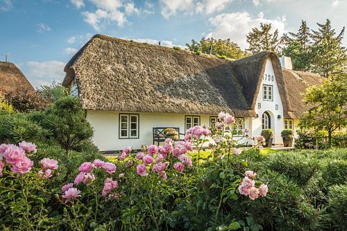 Historische rietgedekte boerderij in Keitum, Sylt