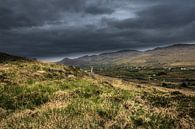 Irland von Johnny van der Leelie Miniaturansicht