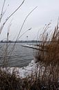 Rivier in de winter met ijs van Tom Goldschmeding thumbnail