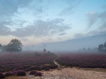 oneindig van snippephotography