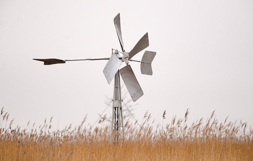 windmolen giethoorn by Petra De Jonge