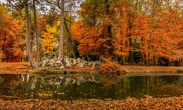 HERBSTFARBEN van Jürgen Schneider