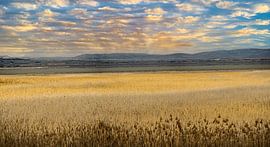 The salt lakes of Turkey Acıgöl by Roland's Foto's