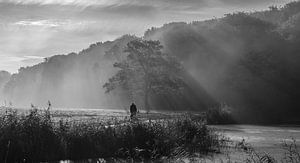 Ochtendmist Kralingse plas von Arthur Wolff