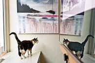 Katze in der Galerie von Robert van Willigenburg Miniaturansicht