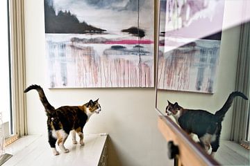 Cat in gallery by Robert van Willigenburg