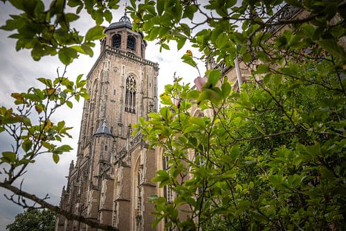 Verborgen Grootsheid: De Lebuïnustoren door de Bladeren