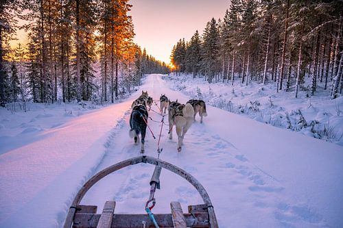 coucher de soleil cool pendant une balade en husky sur Kevin Pluk