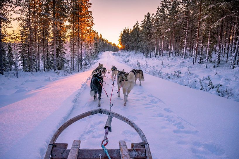 gave zondsondergang tijdens een husky tocht van Kevin Pluk