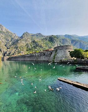 Vestingmuur in Kotor van zam art