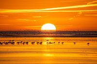 Zonsopkomst Terschelling