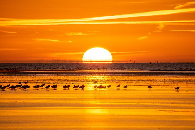 Sonnenaufgang Terschelling von Jacoba de Graaf