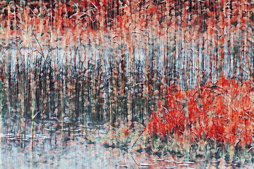 Roseaux rouges n° 1