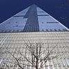One World Trade Center van Charella Hulsbosch
