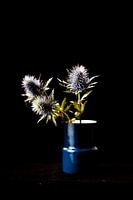 Drei blaue Disteln in Vase