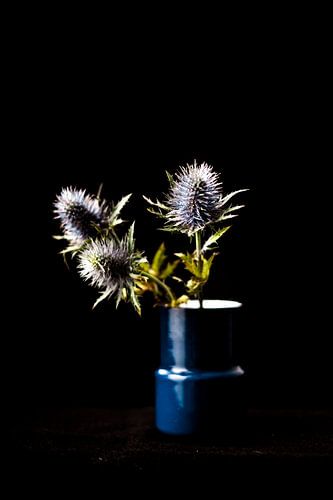 Three blue thistles in vase