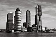 Skyline am Rotterdamer Hafen in Holland von Silva Wischeropp Miniaturansicht
