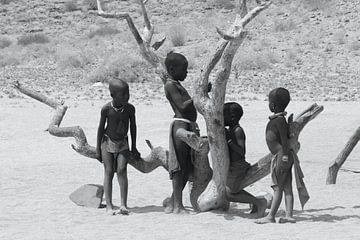 Himba stam van Inge Hogenbijl