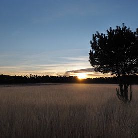 De rust van een zonsondergang  van Moor van Bree foto's
